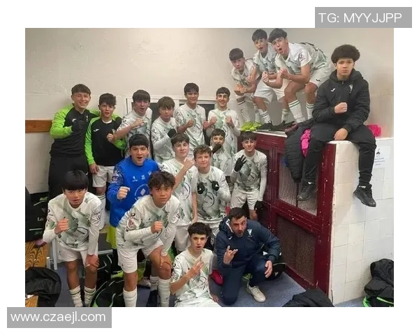 足球巨星亲笔签名真迹鉴赏与价值评比全景解析